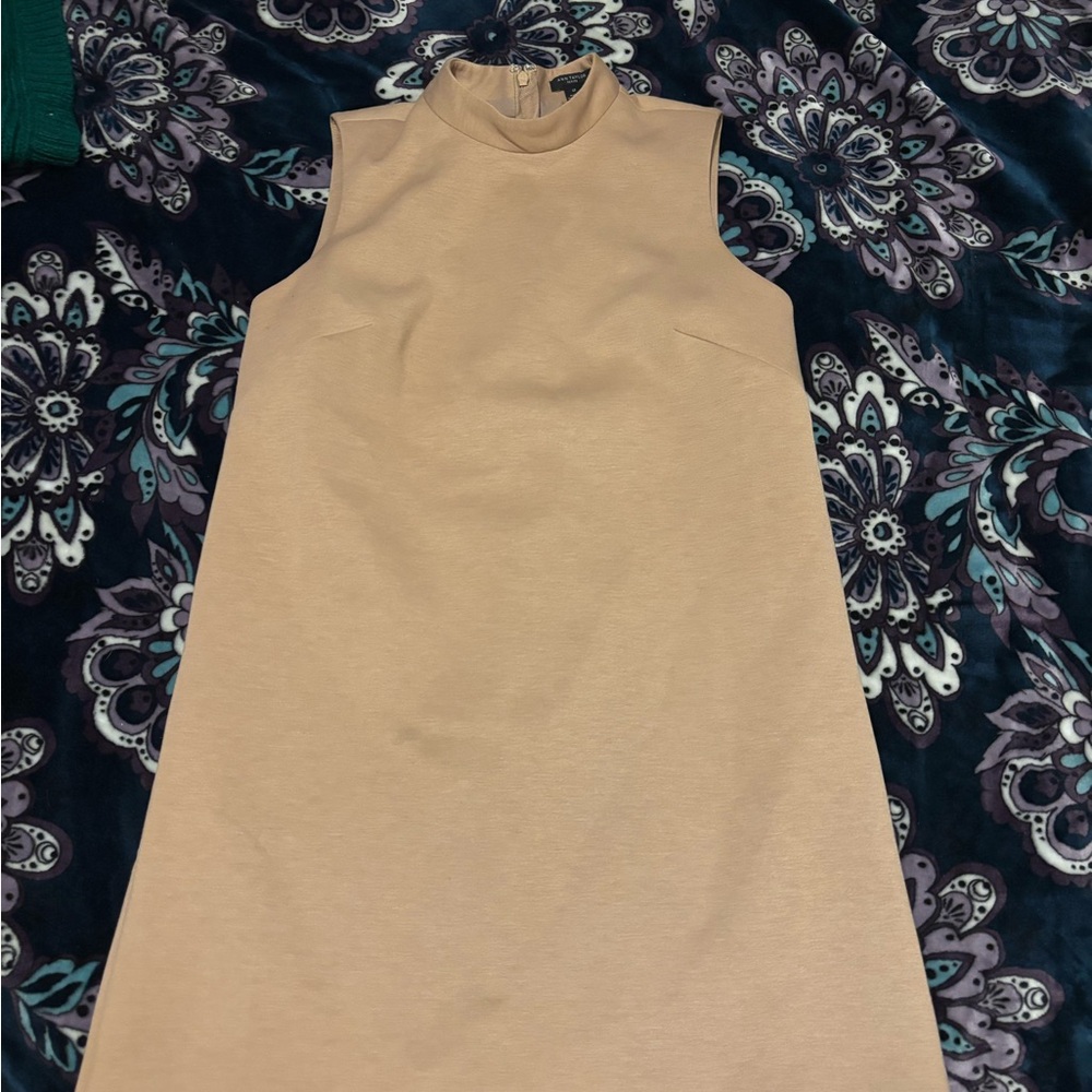Ann Taylor beige dress